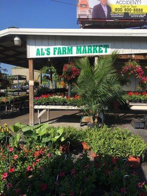 A great selection of annuals, perennials, and produce, as the season progresses.