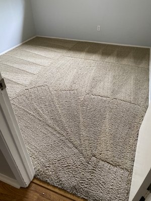 Spotless Carpet Cleaning