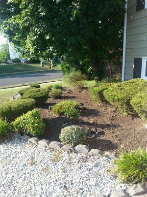 Clean Flowerbeds trim shrubs and lay mulch.