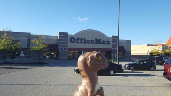 Bob the Raptor Says "Mammals come here to get printer ink and office stuff."