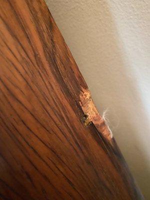 Rosewood credenza- holes need to be fixed