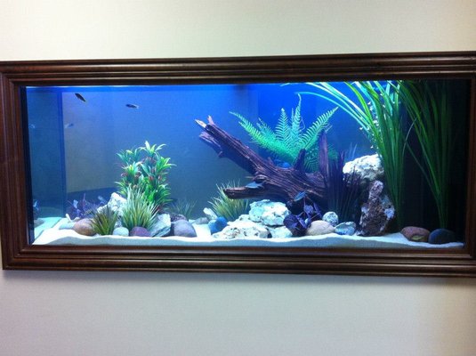 Aquarium at Mills Orthodontics Richardson TX