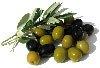 Olive oil and other healthy oils like coconut, red palm, hemp, flax...