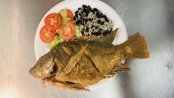 Tilapia platter