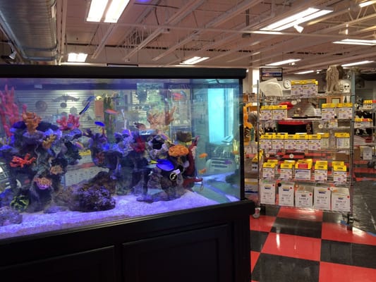 We stock aquarium safe materials and more!