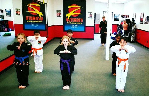 Z Ultimate Self Defense Studios