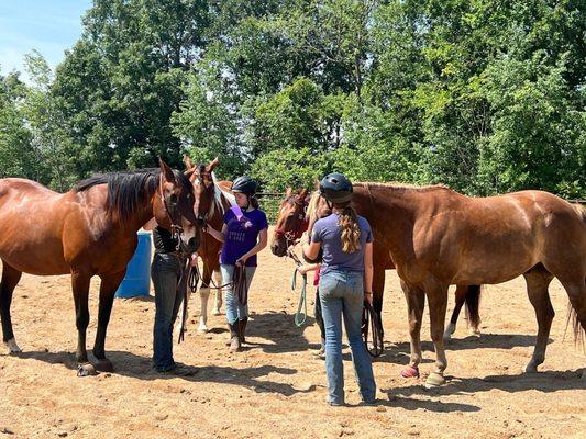 Covenant Stables