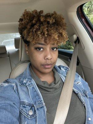 Hair color after second appointment and twist out