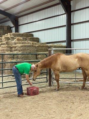 Equine Experiential Education Association - E3A