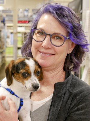 At a dog adoption event in Wheaton, IL