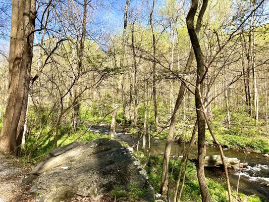 Hibernia County Park