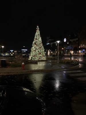 THIS IS NOT OK - THE MANAGEMENT OF THIS SHOPPING CENTER SHOULD BE FIRED - ITS NOT EVEN HALLOWEEN YET!!!!  SHAME SHAME SHAME ON YOU!!!!