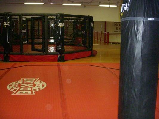 Global Mixed Martial Arts Headquarters The Champions Quest!