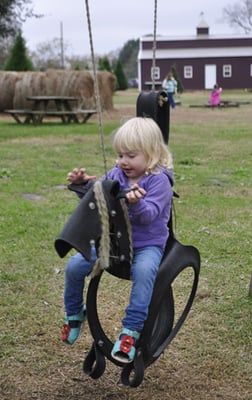 There's a well-kept picnic ground, a fire pit, & an adorable playground too.