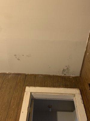 The roof has continued to leak and is growing mold... this is when I moved in in April of 2020... after it was dry walled!