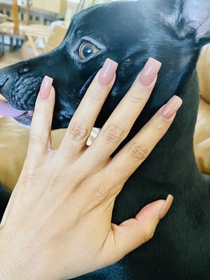 My nails and my pup