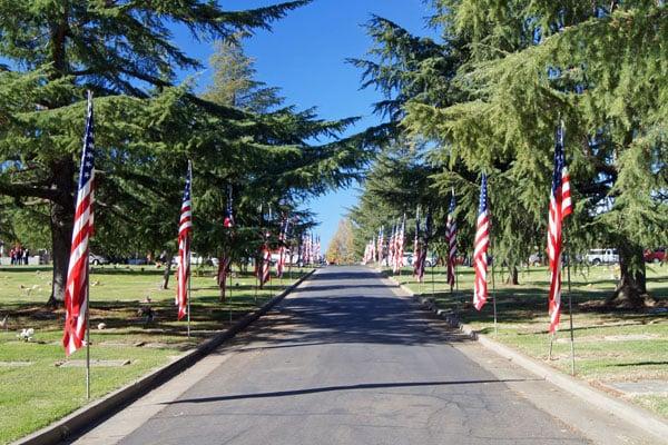 Avenue of Flags.  These flags fly every Veteran's Day and Memorial Day.