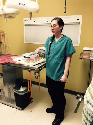 Dr. Pruss gives a lecture to a Girl Scout troop on pet care and disease