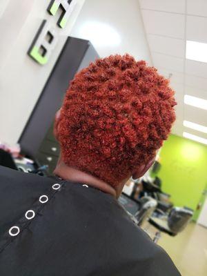 Blended Taper Cut & Color