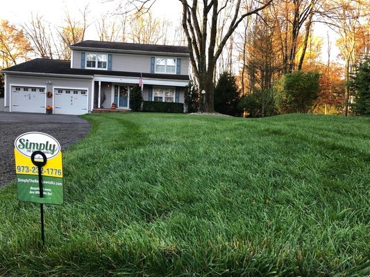 Residential property with green grass and yard sign.