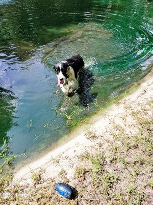 Enjoying the pond!