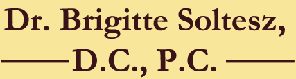 Soltesz Brigitte DC logo