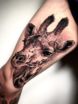 Giraffe portrait tattoo