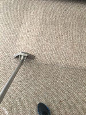 Omega Steam Carpet Cleaning & Water Restoration