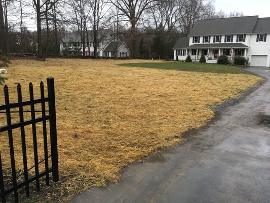 Seed and hay after a job well done.