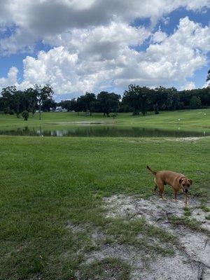 Exploring but you can tell there is plenty of running space!