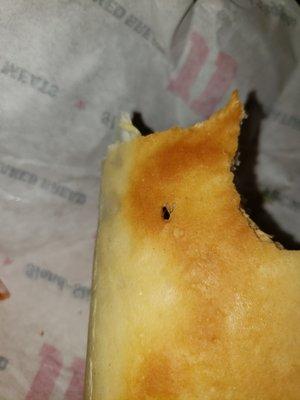 Dead fruit fly embedded in my sandwich. I was told I would be contacted by someone in charge of this location. No one has bothered yet.