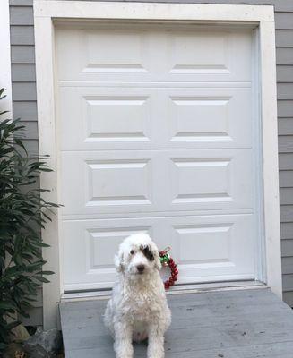 Garage Door