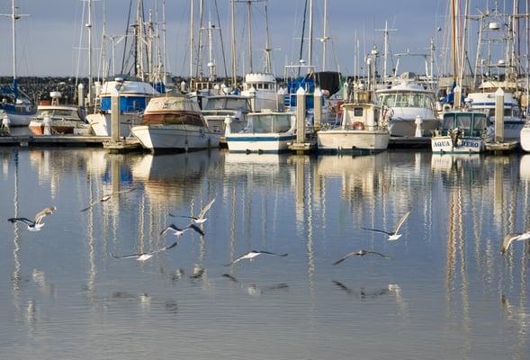 Half Moon Bay Coastside Chamber of Commerce & Visitors' Bureau