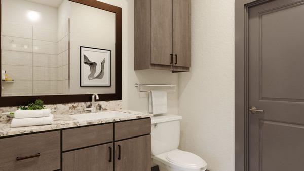 Model Apartment Home Bathroom