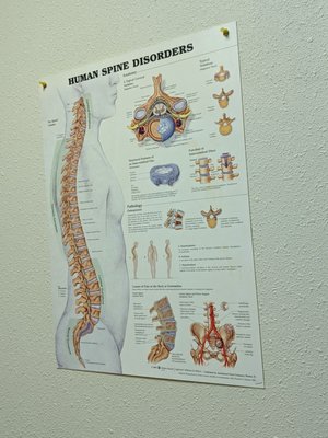 Back and spine poster