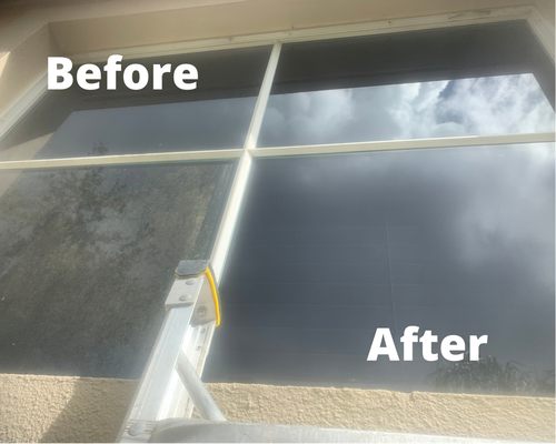 Mold removal and window cleaning