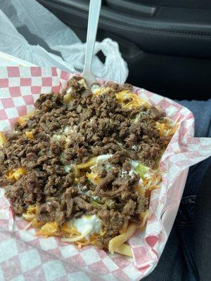 Asada fries