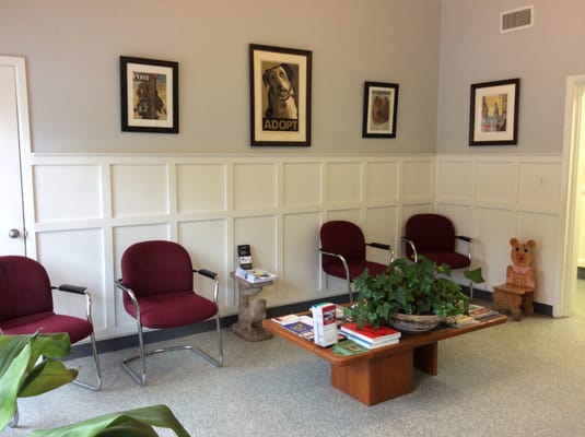 In 2014, under the new ownership of Dr. Maria Violi, the hospital received a complete renovation.