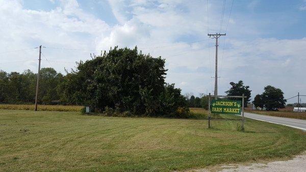 Easy to spot the sign to turn in - and any farm market that has a beehive has my business.