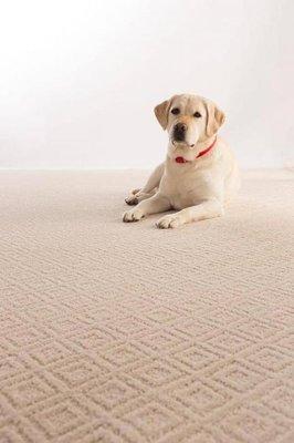 Love the look of these SmartStrand Forever Clean carpets from our Boxer Heights collection?