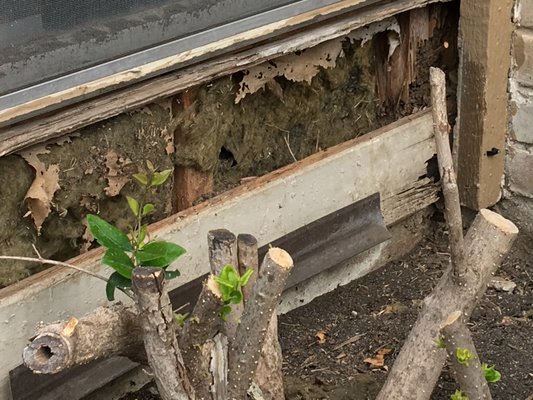 Bent Tree Oak Apartments