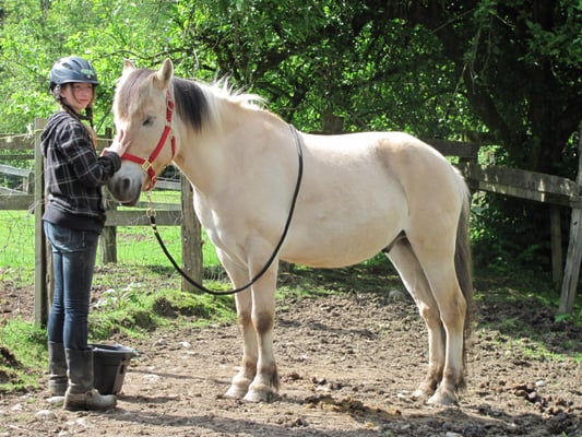 Katie and Houston