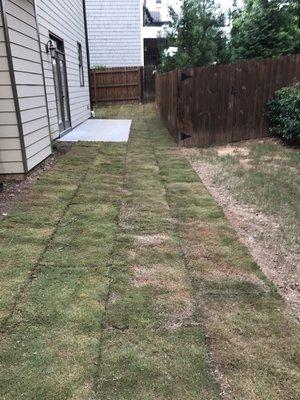 Sod placement