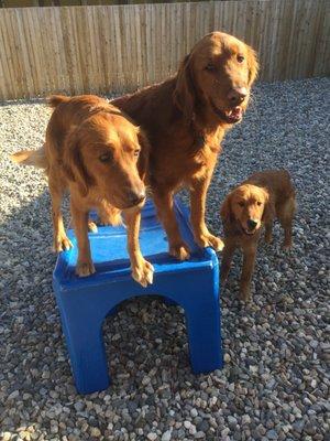 Happy Family on a Ramp!