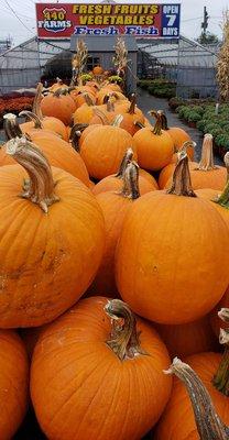 Pumpkins...