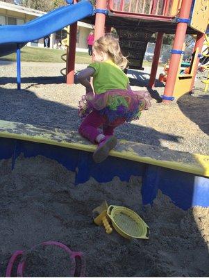 Running wild in the sand.