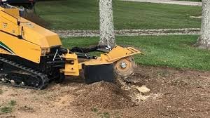 stump removal