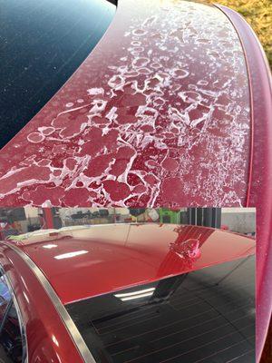 Before and after clear coat correction