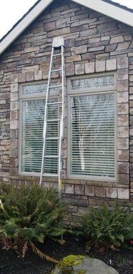 hard to get to residential windows? No problem!