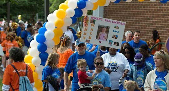 DSNAV Buddy Walk Balloon Arch